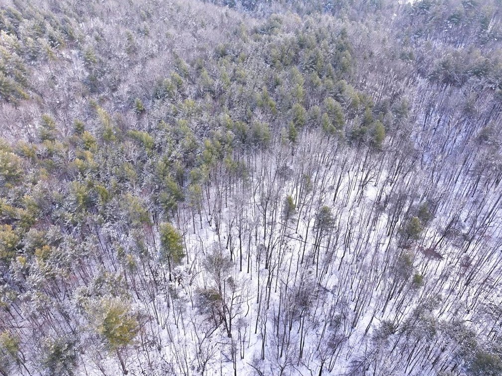 Image for Land For Sale in Ararat, Virginia - TBD Mitchells Mill