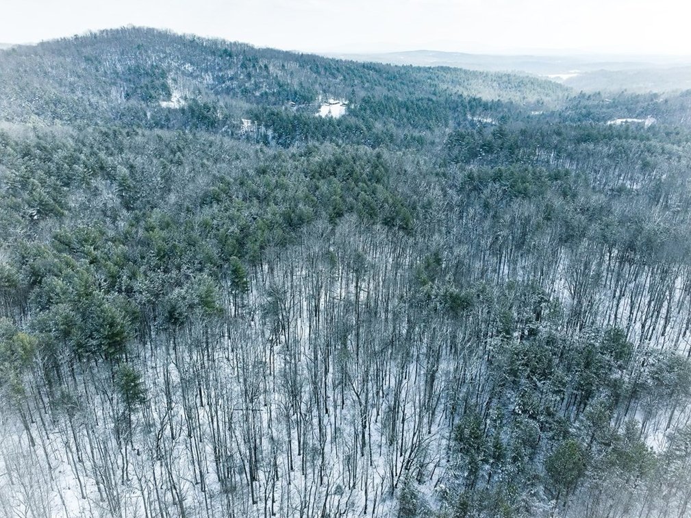 Image for Land For Sale in Ararat, Virginia - TBD Mitchells Mill