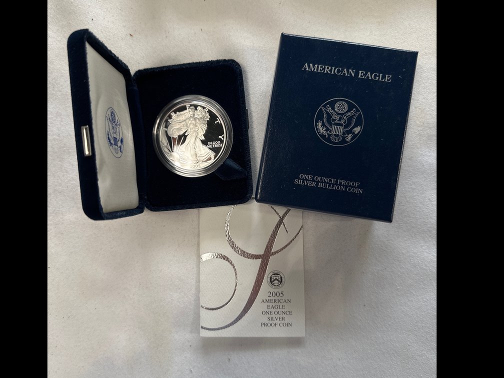 2005 American Silver Eagle