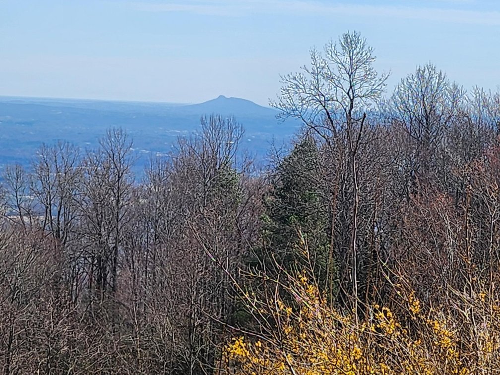 Image for Home For Sale in Fancy Gap, Virginia - 191 Panorama