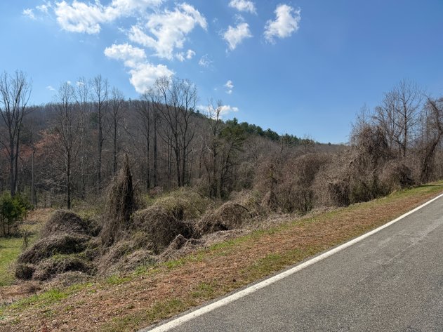 Land For Sale in Lowgap, NC - TBD Old MIll Road