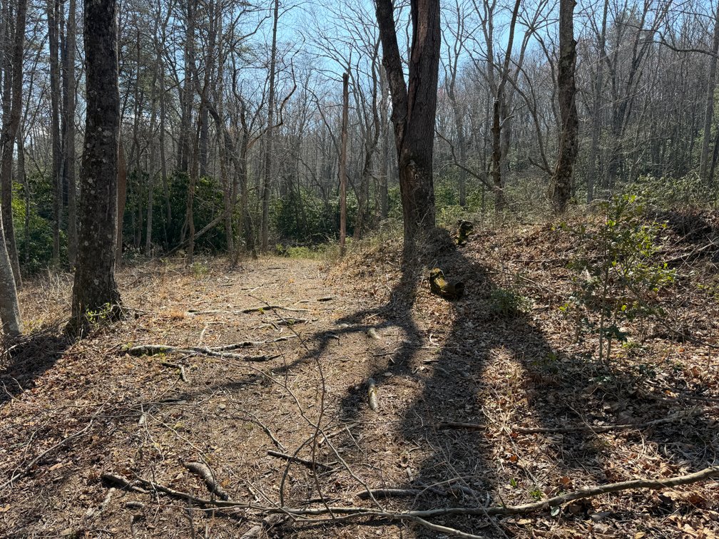 Image for Land For Sale in Lowgap, NC - TBD Old MIll Road