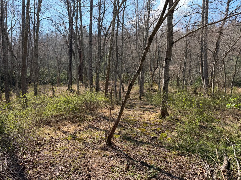Image for Land For Sale in Lowgap, NC - TBD Old MIll Road