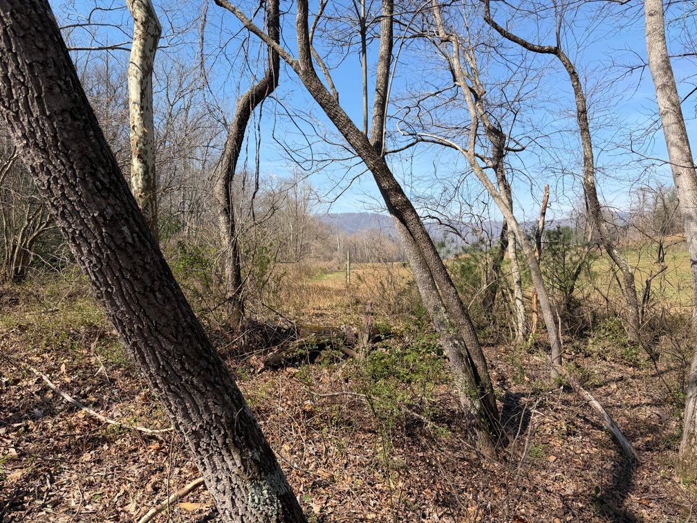 Image for Land For Sale in Lowgap, NC - TBD Old MIll Road