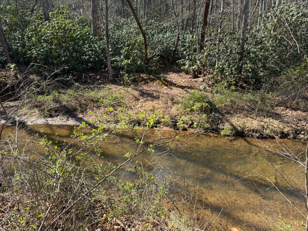 Image for Land For Sale in Lowgap, NC - TBD Old MIll Road