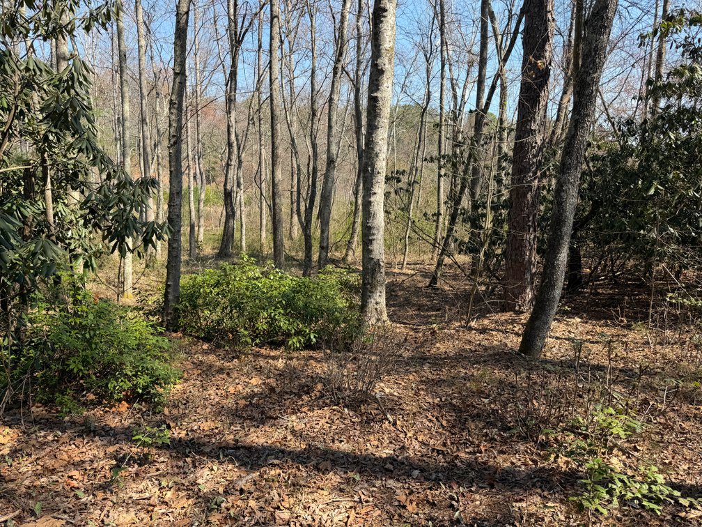 Image for Land For Sale in Lowgap, NC - TBD Old MIll Road