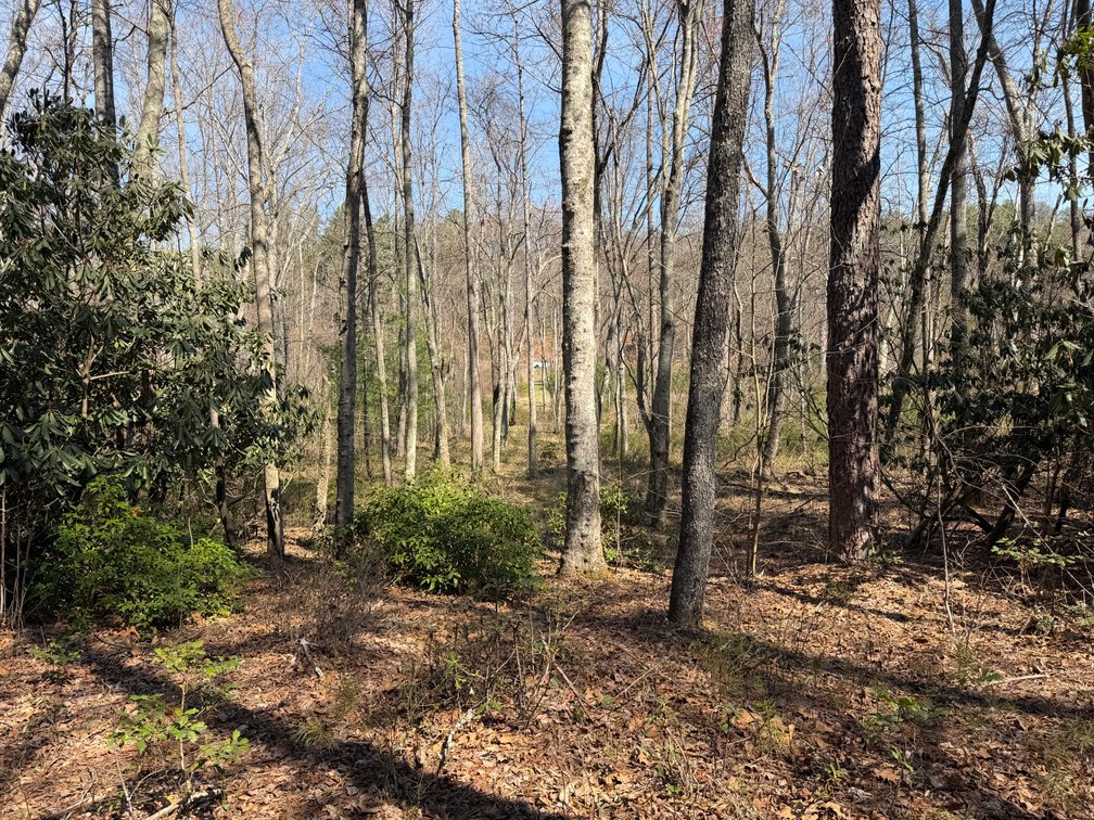 Image for Land For Sale in Lowgap, NC - TBD Old MIll Road