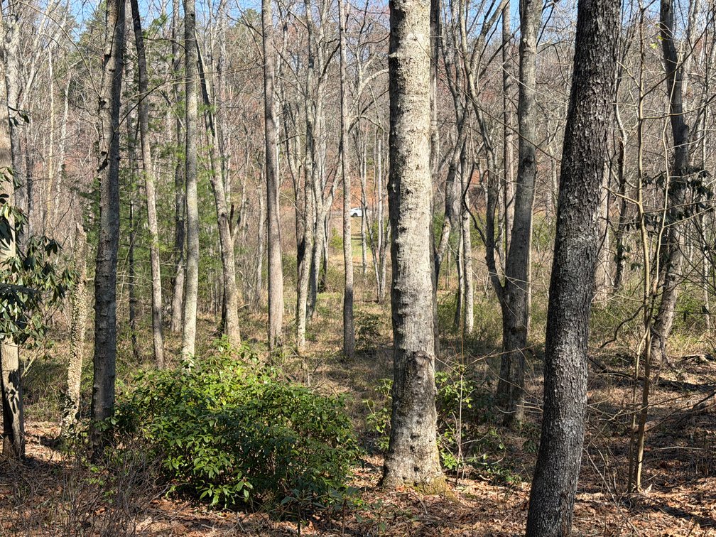 Image for Land For Sale in Lowgap, NC - TBD Old MIll Road