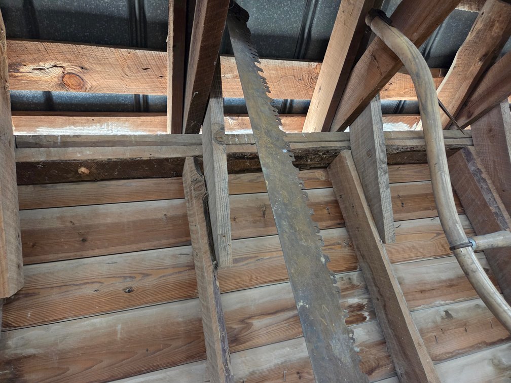 Vintage Cross cut saw