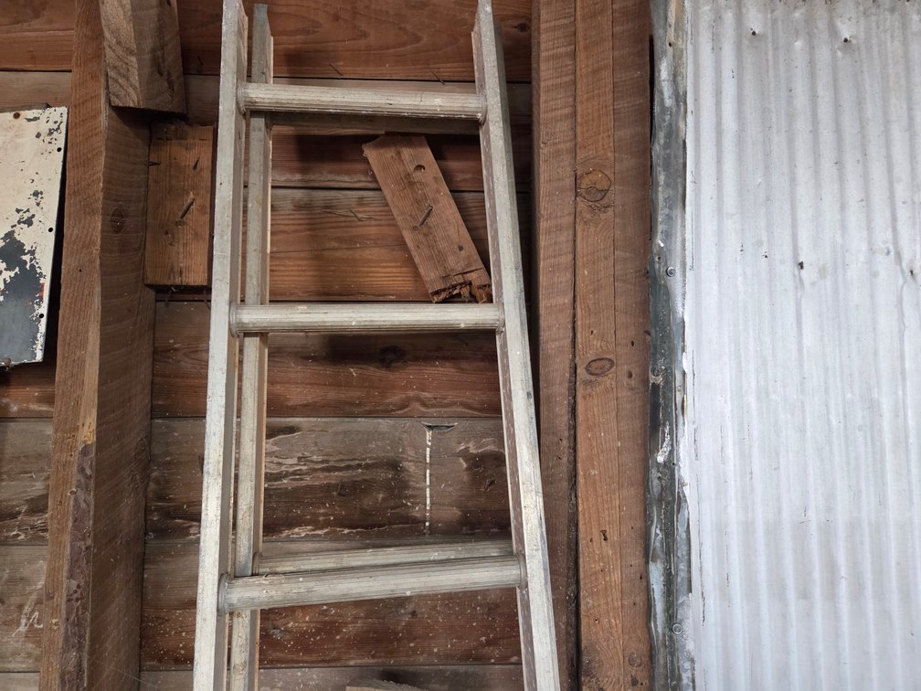 Step ladder and extension ladder