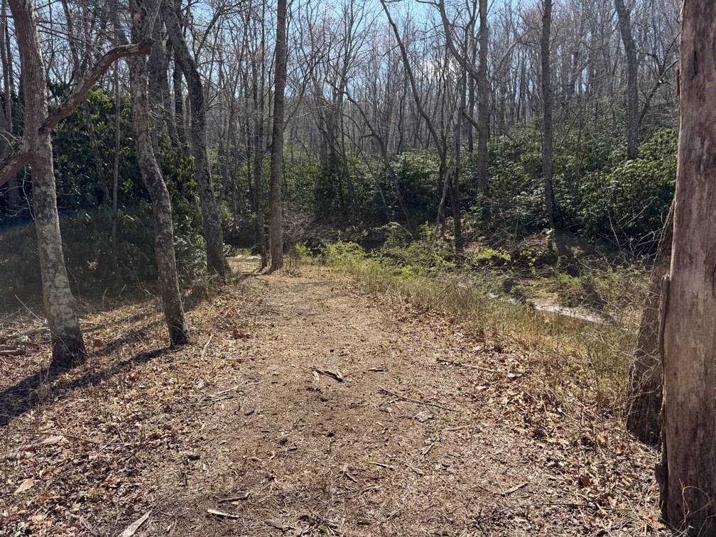 Image for Land For Sale in Lowgap, NC - TBD Old MIll Road