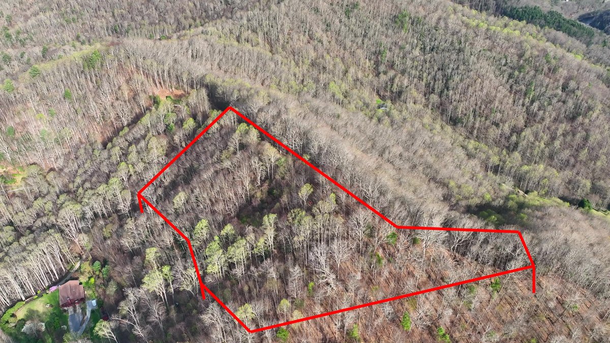Image for NC & VA Multi-Property Land Auction