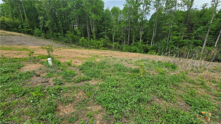 Land For Sale in Mount Airy - Lot# 29 & 30 Meadowlark Road