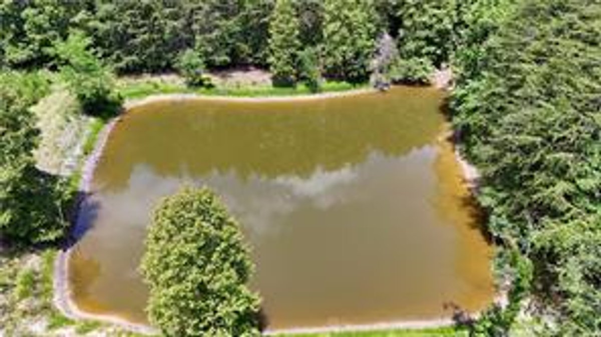 Image for Home For Sale in Claudville VA - 975 Cox Ridge