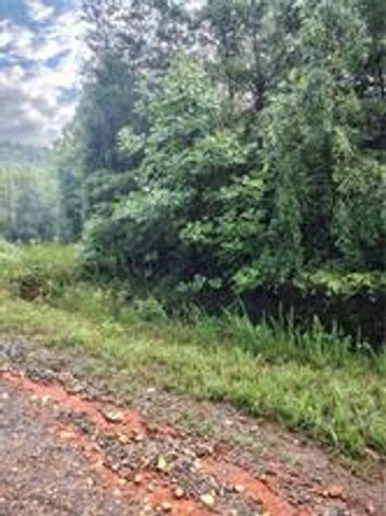 Land For Sale in Cana - 00 Moonview
