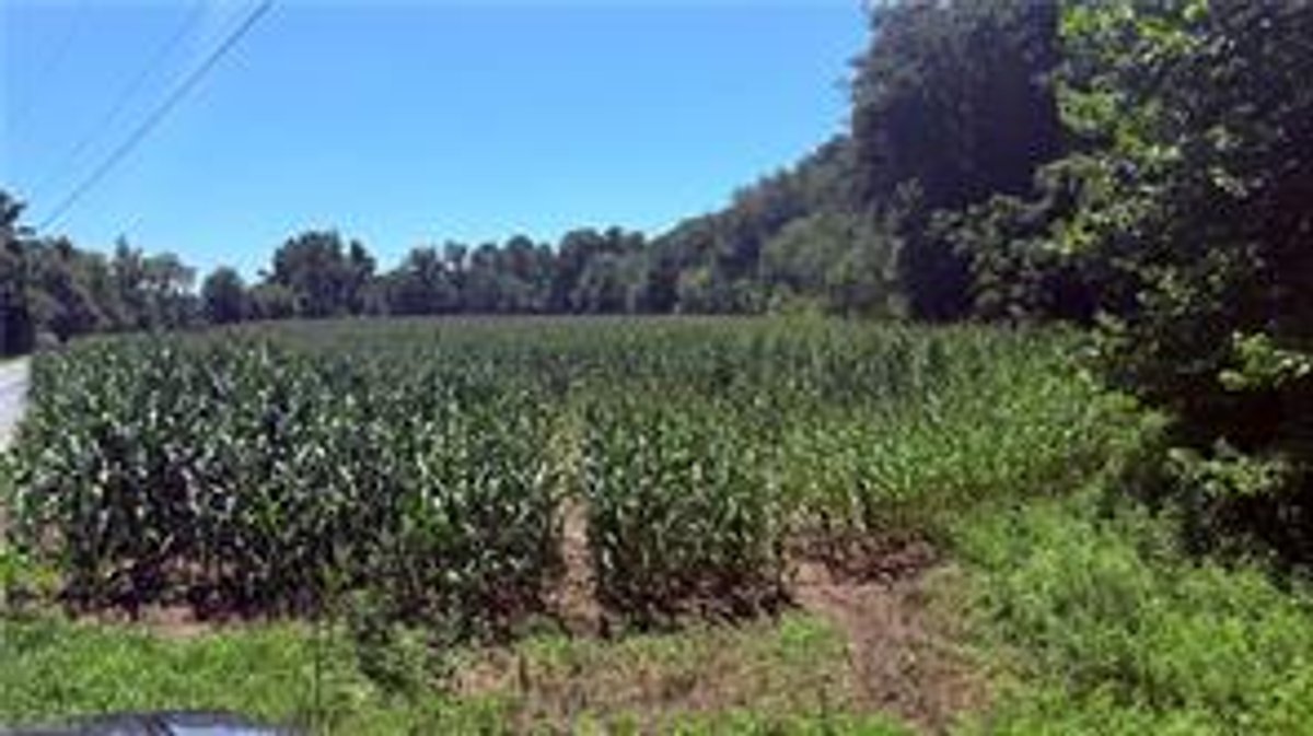 Image for Land For Sale in Dobson - TBD Rockford Road