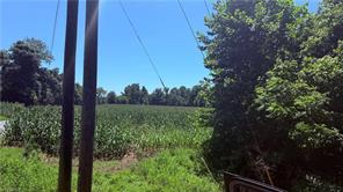 Image for Land For Sale in Dobson - TBD Rockford Road