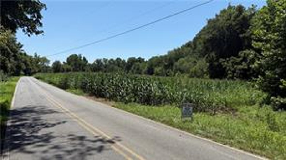 Image for Land For Sale in Dobson - TBD Rockford Road