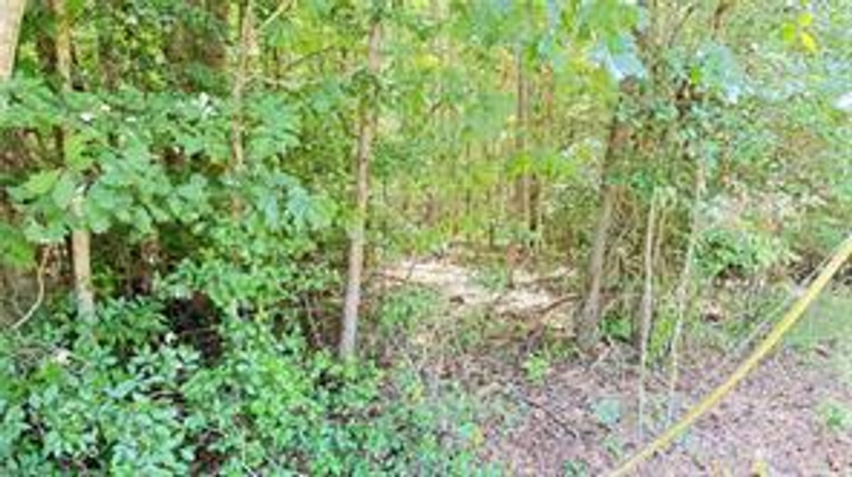Image for Land For Sale in Dobson - TBD Rockford Road