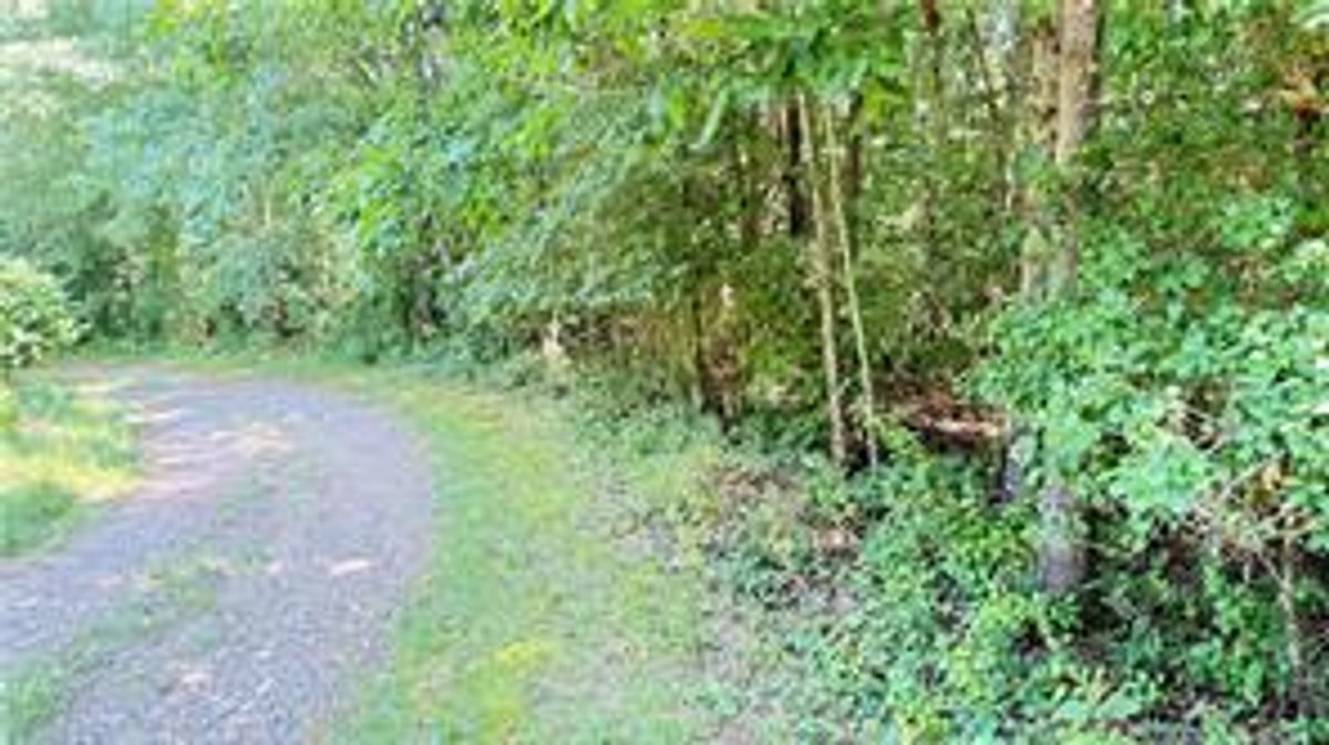 Image for Land For Sale in Dobson - TBD Rockford Road