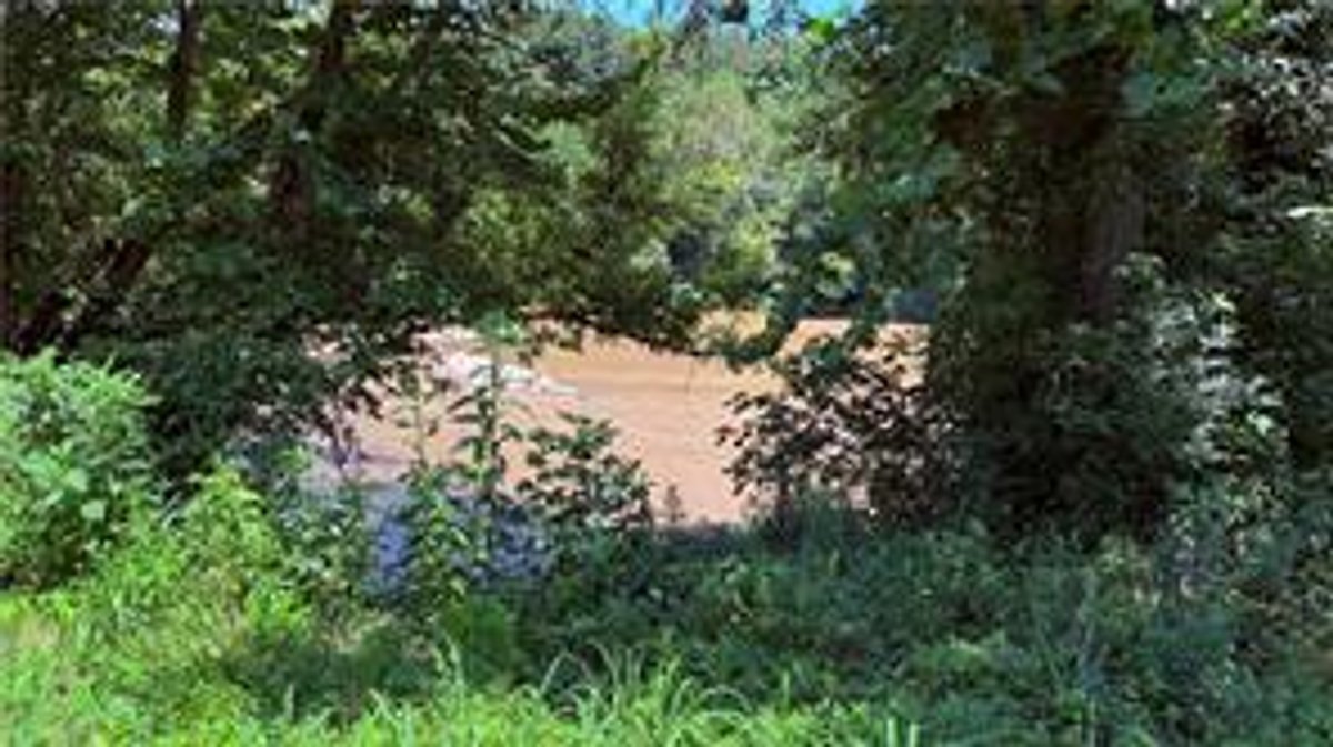 Image for Land For Sale in Dobson - TBD Rockford Road