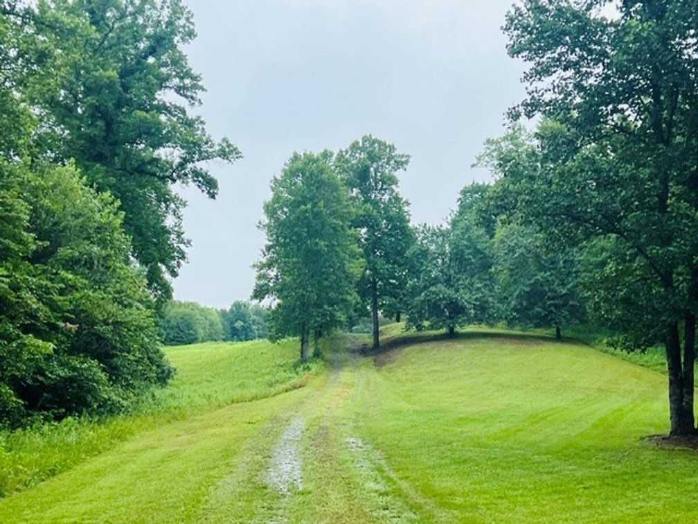 Image for Home For Sale in Ararat VA - 5645 Ararat Highway