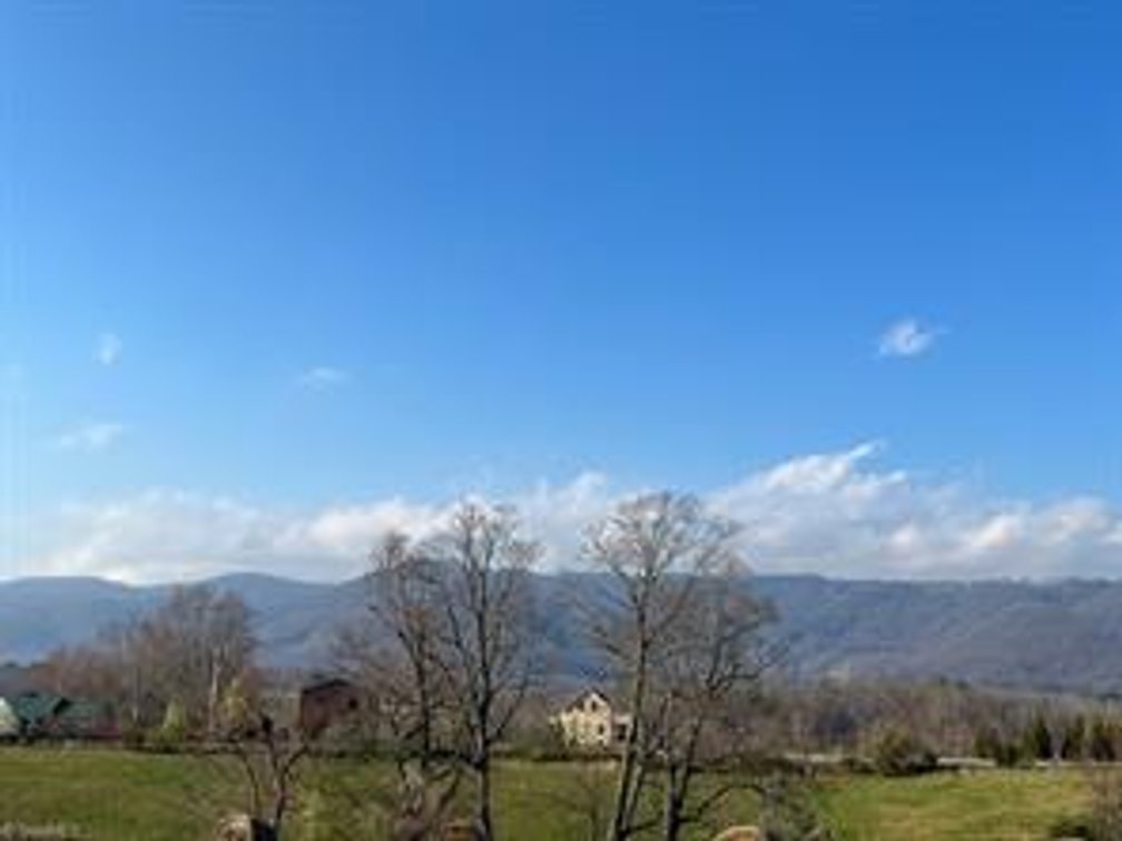 Image for Land For Sale in Ararat VA - 00 Friends Mission Road