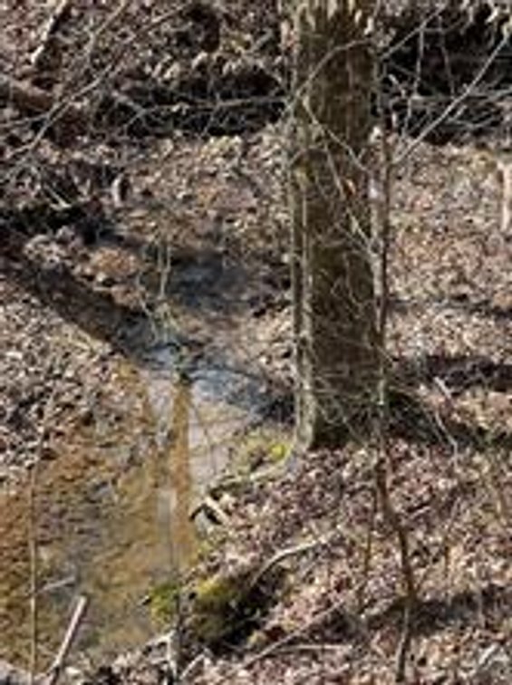 Image for Land For Sale in Ararat VA - 00 Friends Mission Road