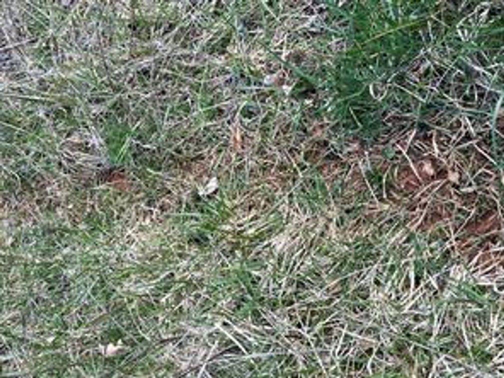 Image for Land For Sale in Ararat VA - 00 Friends Mission Road