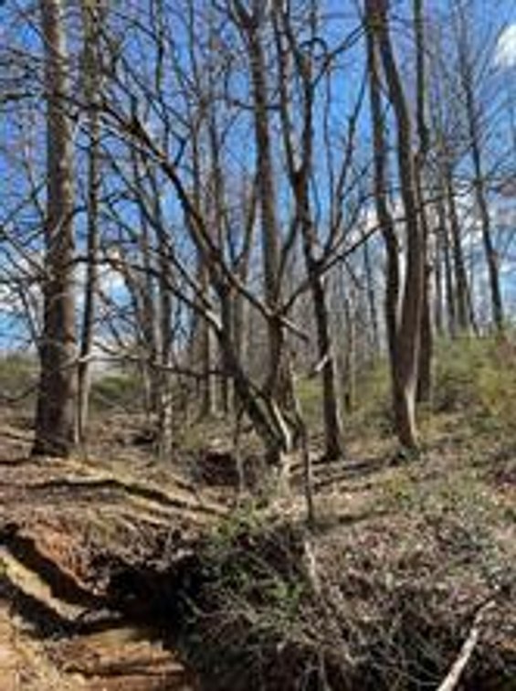 Image for Land For Sale in Ararat VA - 00 Friends Mission Road
