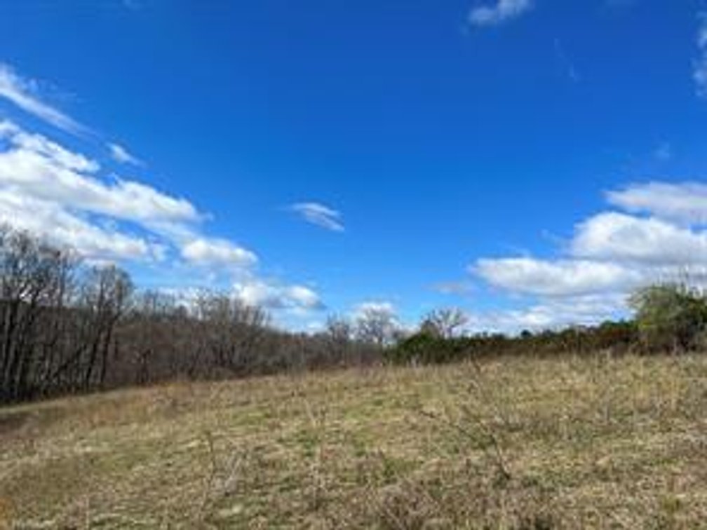 Image for Land For Sale in Ararat VA - 00 Friends Mission Road