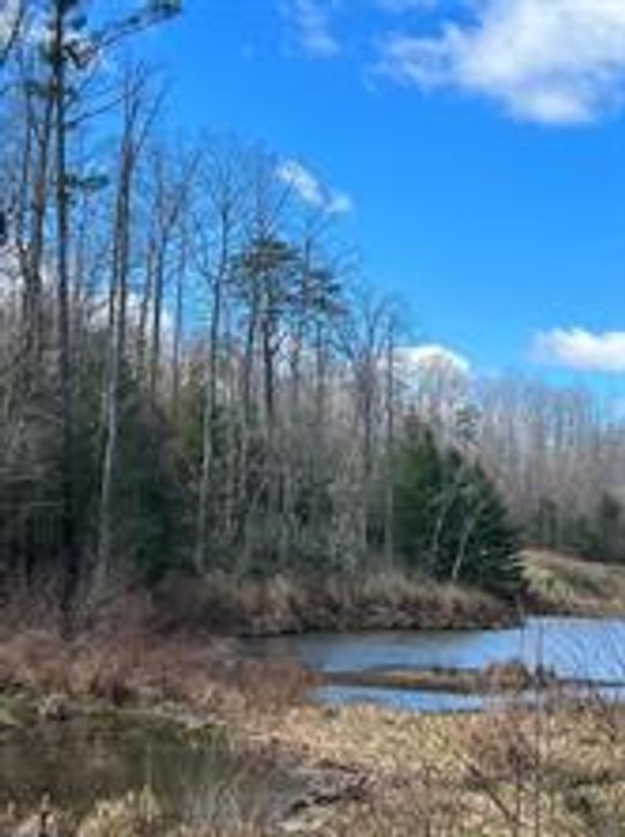 Image for Land For Sale in Ararat VA - 00 Friends Mission Road