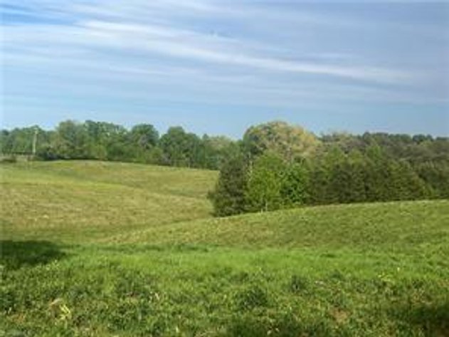 Land For Sale in Mount Airy - 0000 George Chandler Road