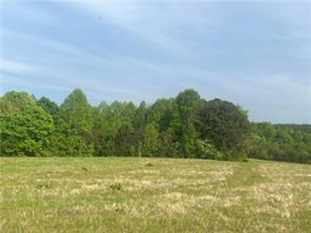 Image for Land For Sale in Mount Airy - 0000 George Chandler Road