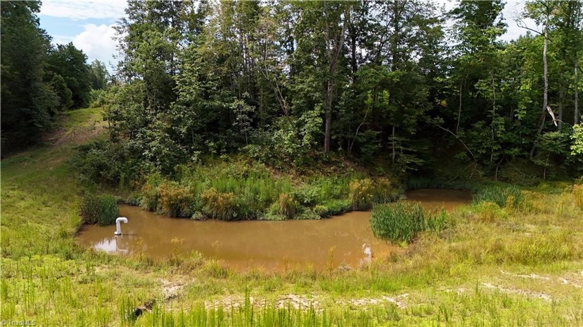 Image for Land For Sale in Pilot Mountain - 0 Inman  Road