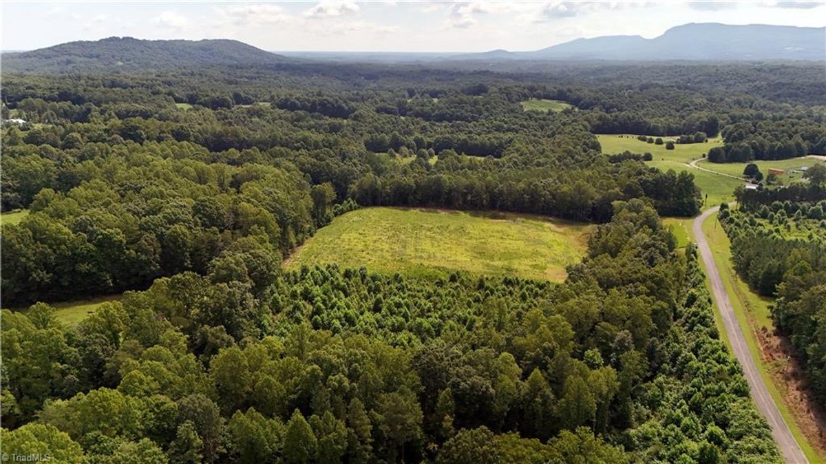 Image for Land For Sale in Pilot Mountain - 0 Inman  Road