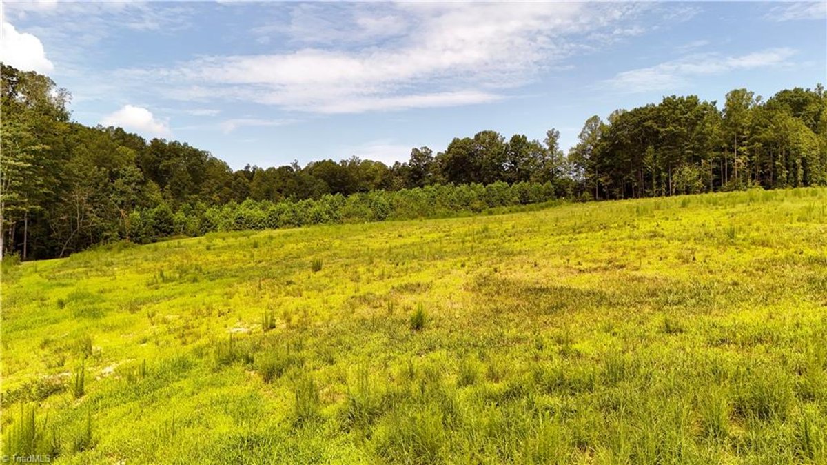 Image for Land For Sale in Pilot Mountain - 0 Inman  Road