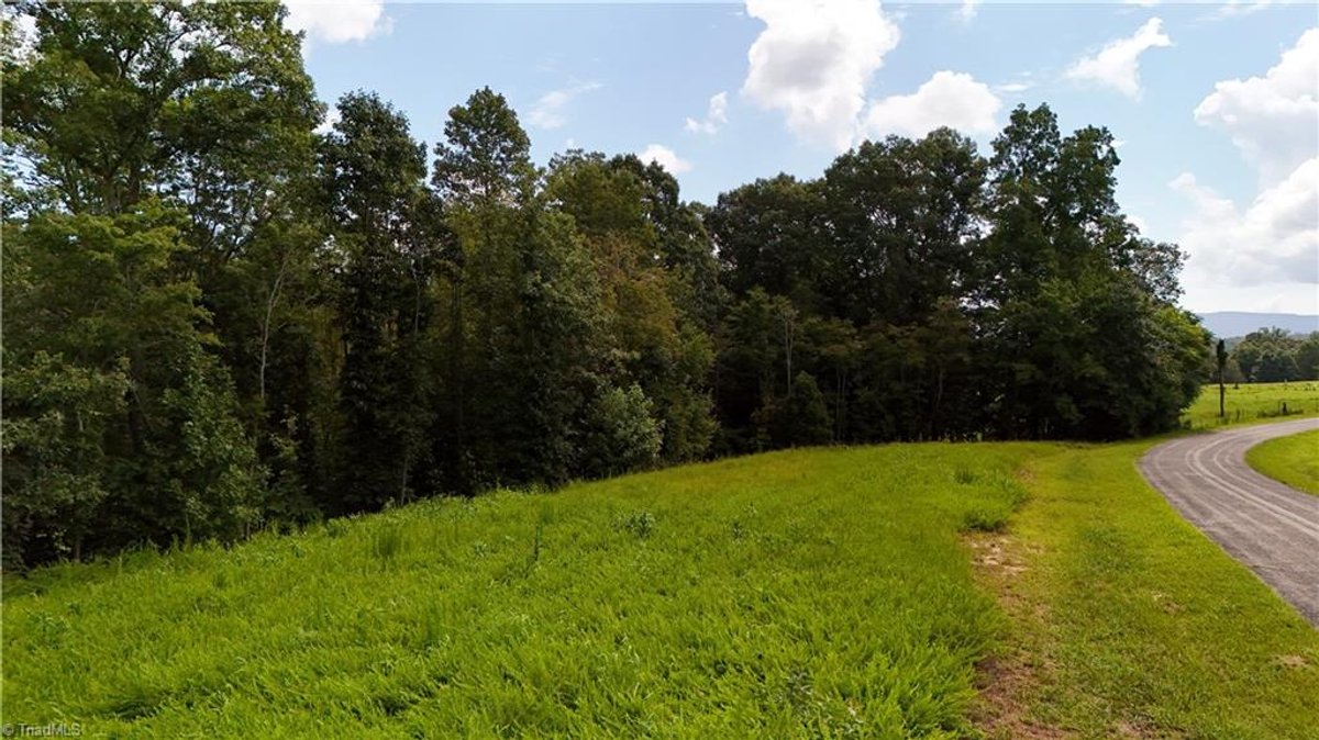 Image for Land For Sale in Pilot Mountain - 0 Inman  Road
