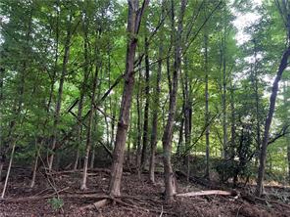 Image for Commercial Land For Sale in Pilot Mountain - Tract 1 East Main Street