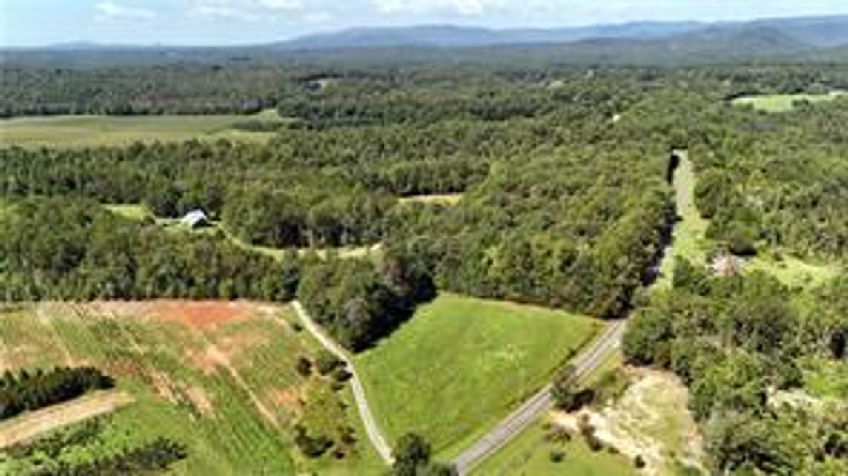 Image for Land For Sale in Mount Airy - TBD Haystack Road