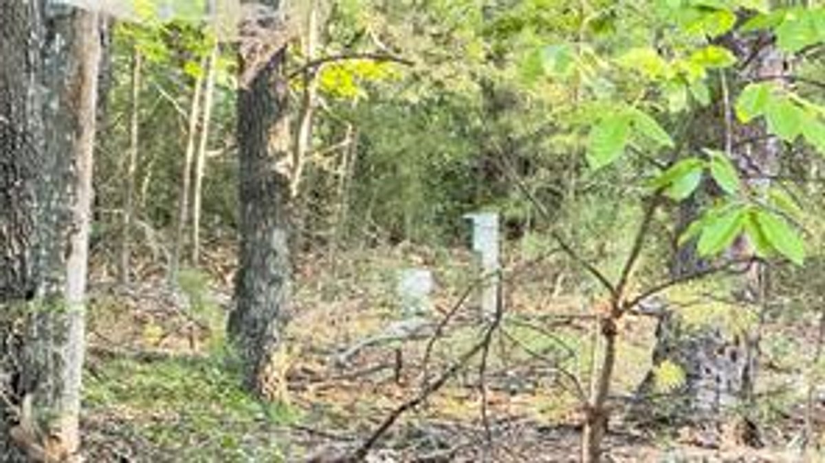 Image for Land For Sale in Lowgap - 3787 Pine Ridge Road