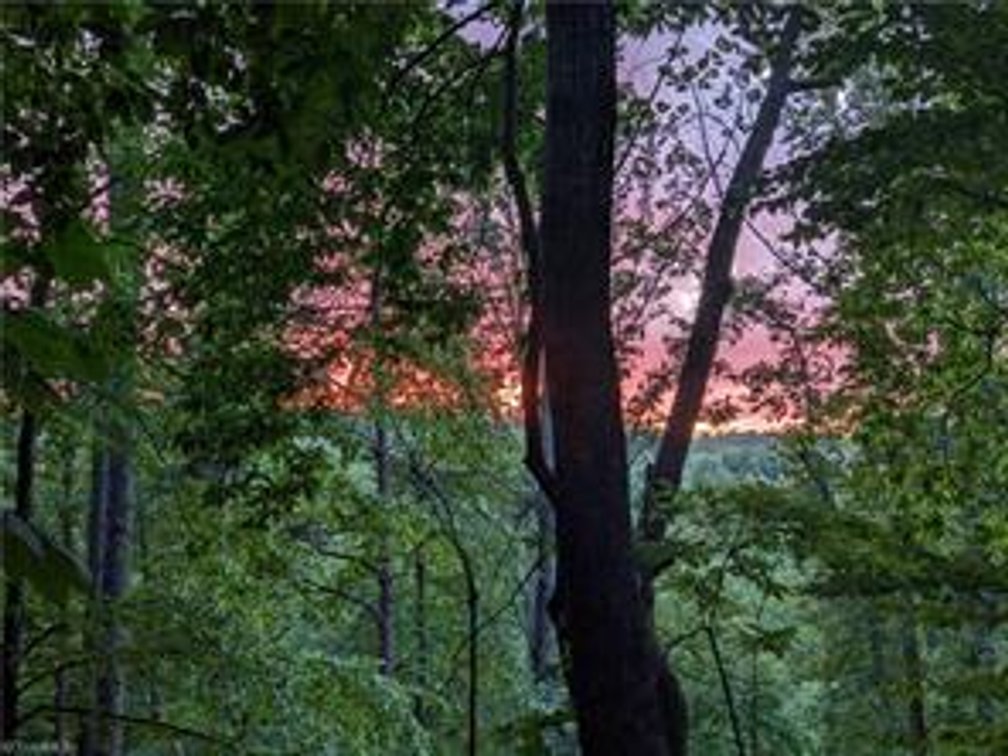 Image for Home For Sale in Mount Airy - 2828 E Pine Street