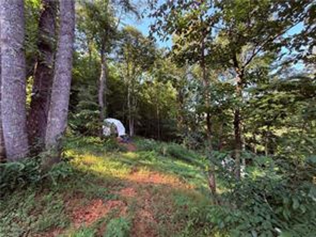 Image for Home For Sale in Mount Airy - 2828 E Pine Street
