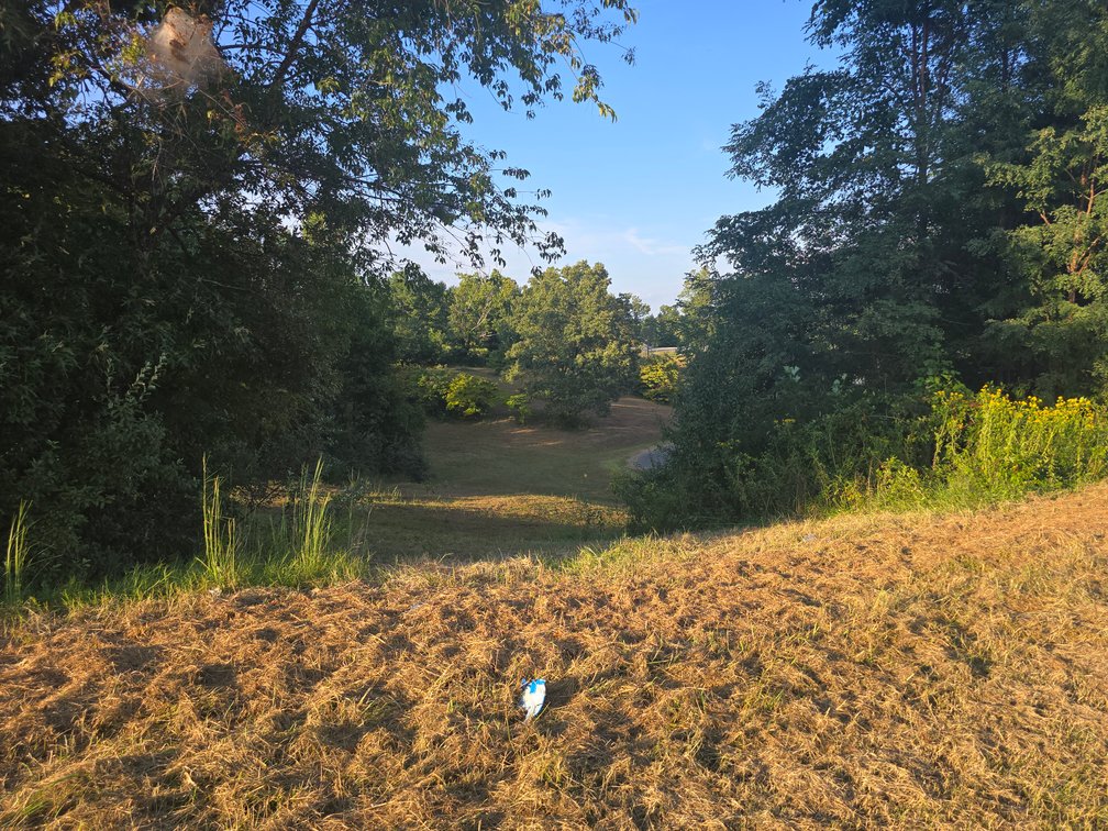 Image for Real Estate Auction — J.C. Joyce Trucking and Paving Liquidation