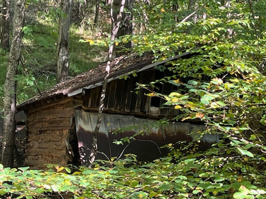 Image for Patrick Springs Estate Auction