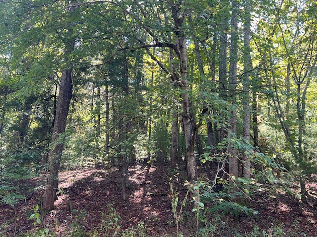 Image for Patrick Springs Estate Auction