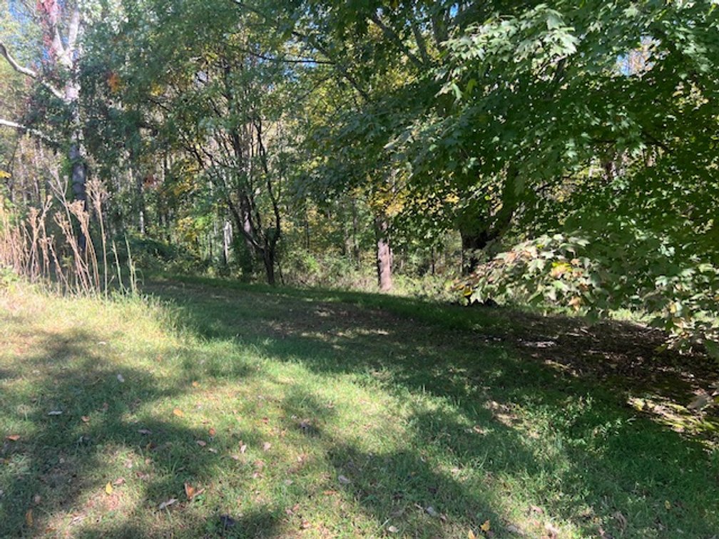 Image for Patrick Springs Estate Auction