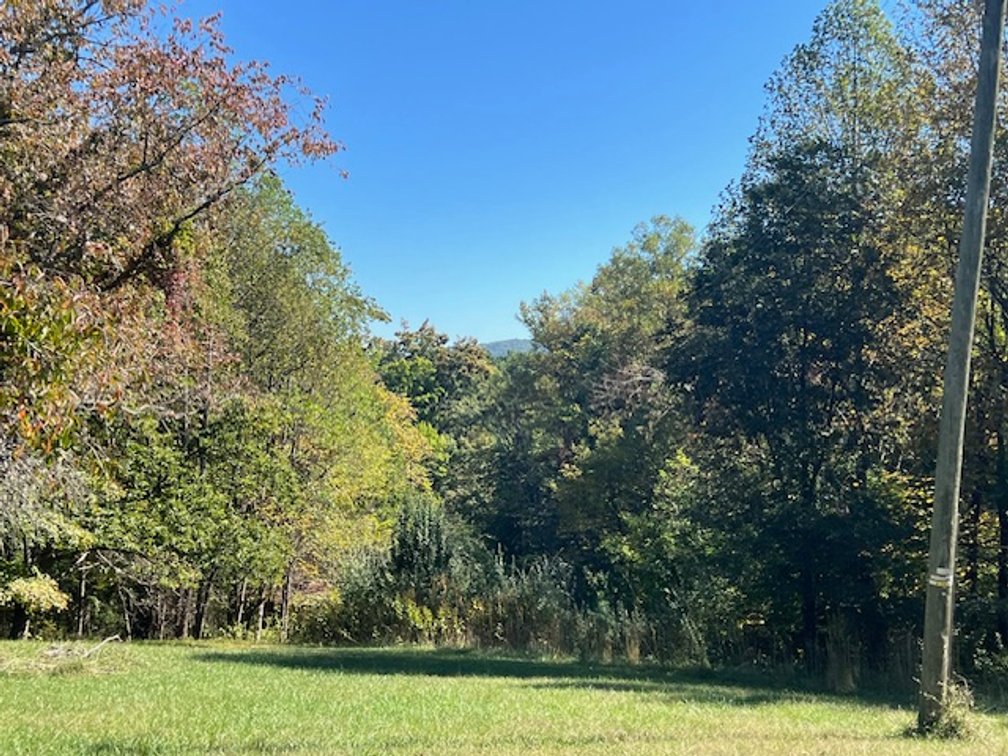 Image for Patrick Springs Estate Auction