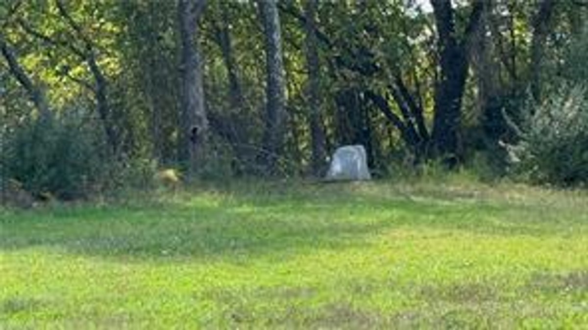 Image for Home For Sale in Pilot Mountain - 310 Springfield Road
