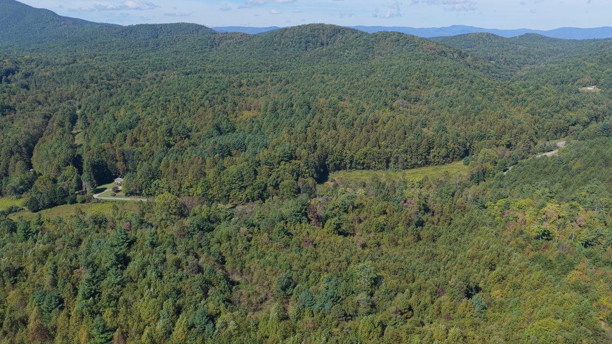 40.47 Acre Land Tract — 3290 Pleasant View Dr, Patrick Springs, VA 24133